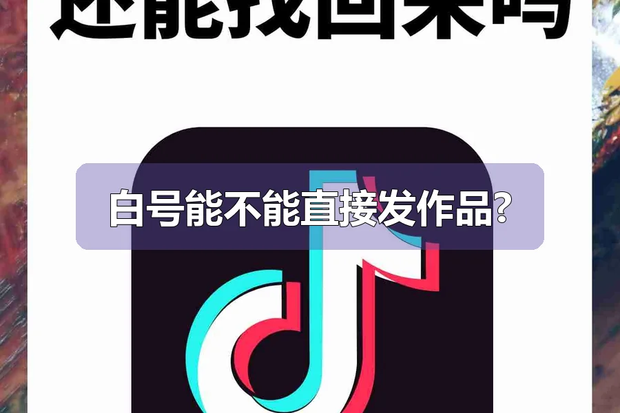 白号能不能直接发作品?